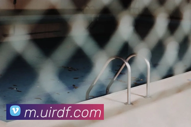 App Interface Preview